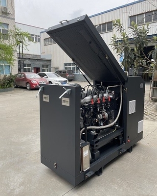 سعر جيد High Efficiency CE Approved Micro Biogas CHP Mini Cogenerator Set Unit System 16kw 20kva الانترنت