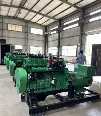 سعر جيد Industrial Backup Emergency 250KW 300KVA Natural Gas Powered  Electric Generator Set الانترنت