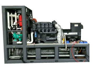 سعر جيد 280KVA 220KW Biogas Electric Generator Stable Performance Easy Maintenance الانترنت