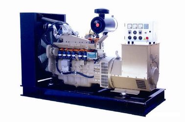 سعر جيد 280KVA 110V Natural Gas Generator Set , 3 Phase CNG Generator Set CE Certified الانترنت