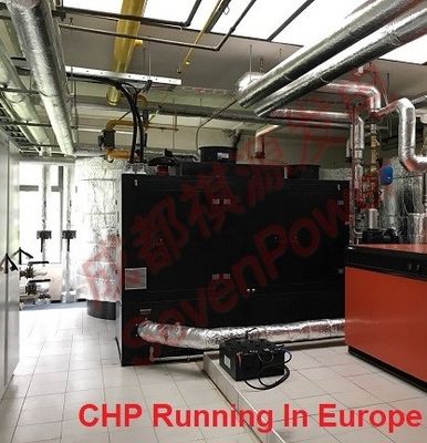 سعر جيد Continuous 50Hz 100KW Natural Gas Generator الانترنت